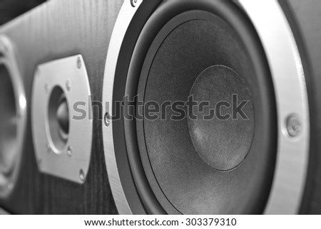 center speaker close-up. Element of a multi-channel speaker system.