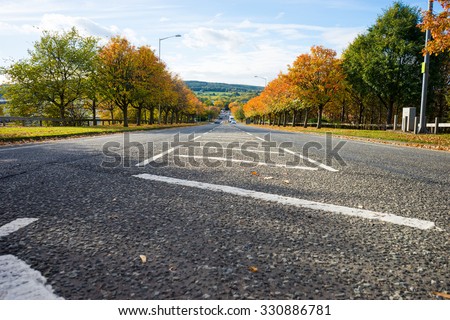 Road lined with autumn trees.  Cross hatching road marks line the centre of the road.