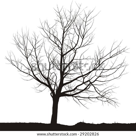tree drawing black and white. cherry tree black drawings