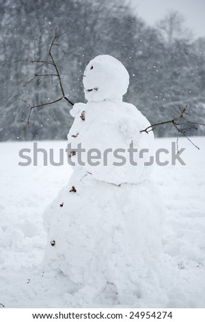 A snowman is a heavy snow shower. Wintry trees form a background