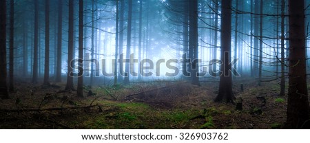 Gloomy panoramic of a dark forest