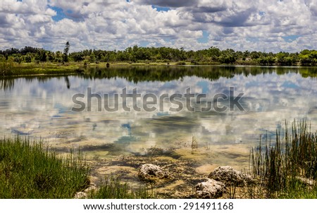 Florida Everglades Lake, Landscape, Day, Color Image