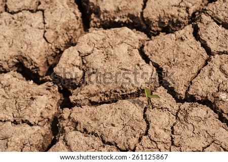Drought, the ground cracks, no hot water, lack of moisture