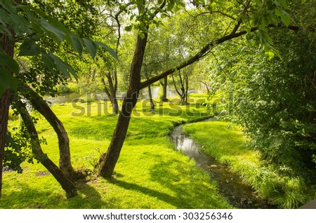 Sunny landscape with a creek and trees