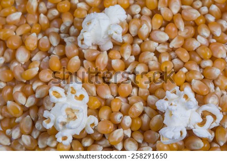 Unpopped popcorn kernels as a background with a few popped pieces