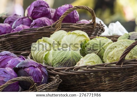 Fresh organic vegetables - Pile of green and purple cabbages in baskets at farmer\'s market