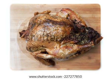 a roasted turkey / boy does it look so tasty / let us carve it up