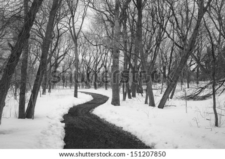 Late winter in a park in central Fargo, North Dakota. The city\'s motto is \