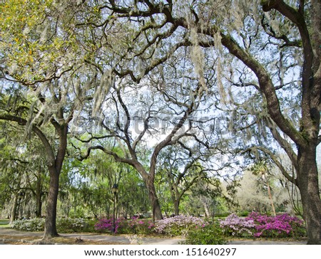 Beautiful trees and gardens are found in Forsyth Park in central Savannah, Georgia in early spring.
