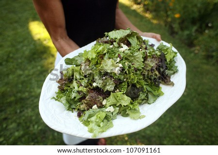 Waiter Carrying Plate full of Fresh Salad