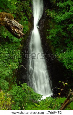 The tied white hair of mother nature created by Shepperd\'s dell waterfall