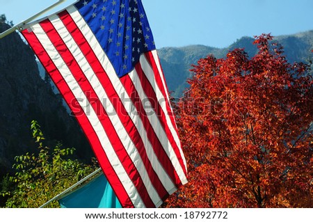 United States of America Flag and Autumn