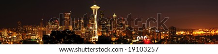 A beautiful panoramic view of Seattle downtown from the best viewpoint in town.
