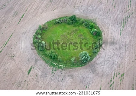 A plot of land with trees and grass in the agricultural field after harvest