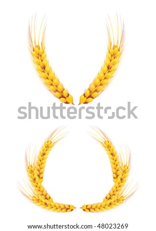 Ears Of Wheat