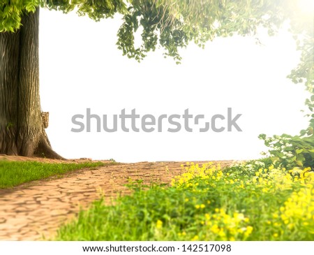 Landscape with big trunk of tree, forest path, green grass and yellow flowers. Hanging branches of plant with foliage. Beautiful organic nature in summer. Forest with place for copy.