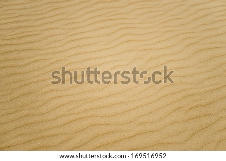 Close-up view of soft beach sand in yellow and brown colors with gentle waves. Abstract backgrounds and wallpapers. Detailed sand texture. Shore and beach.