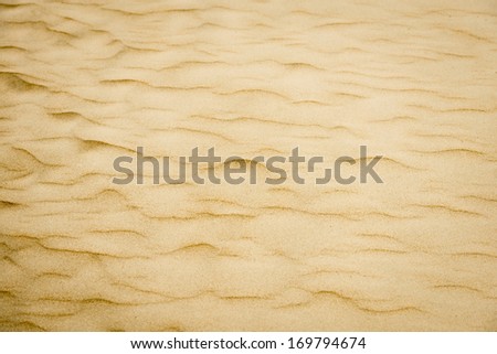 Close-up view of soft beach sand in yellow and brown colors with gentle waves. Abstract backgrounds and wallpapers. Detailed sand texture. Shore and beach.