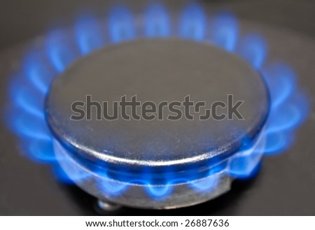 photo of the kitchen gas oven with blue flame