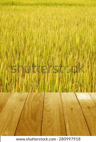Wood plank on natural green grass field & sky background - can use for display or montage your products