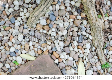 small white rocks pathway on ground in the garden