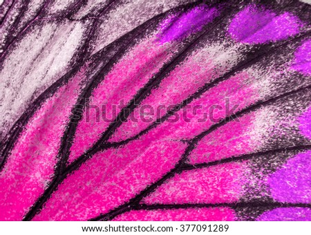 Macro closeup of butterfly wing background pattern. butterfly wing texture background. butterfly wing pattern.