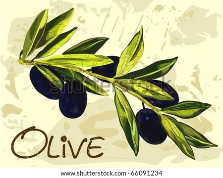 Cute Olives