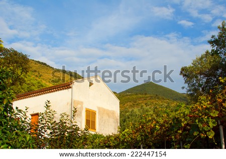 Old house on a background of mountains, close growing vineyard. Vineyard in the big mountains. Mountain House in Italy against the blue sky.