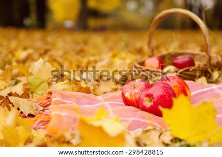 Ripe apples lie on the plaid in the autumn park. Basket with apples on the yellow autumn leaves.