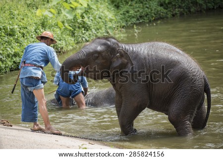 LAMPANG, THAILAND - JUNE 8 : Daily elephant show at The Thai Elephant Conservation Center, mahouts bath and clean the elephants in the river for show the tourism. June 8 ,2015 Lampang, Thailand.
