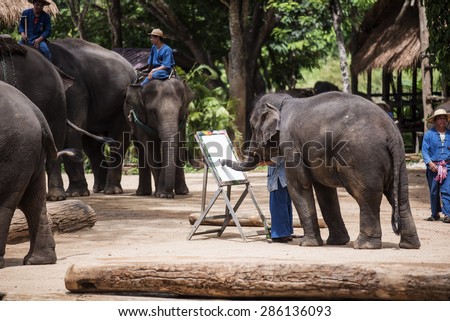 LAMPANG, THAILAND - JUNE 8 : Daily elephant show at The Thai Elephant Conservation Center, Mahout train elephant drawing a picture. Lampang ,Thailand. June 8 ,2015 Lampang, Thailand.