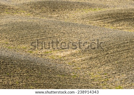 hilly empty fields hilly empty fields at Tuscany in Italy Europe