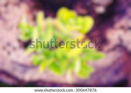 Trendy, hipster blurred background image of plants, dominant color green and brown.