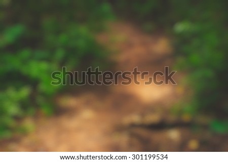 Blurry background dirt path trough forest, bushes. Nature shot, predominant colors green and brown.