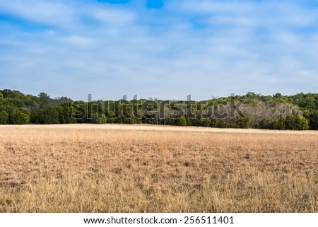 An open field at Dinosaur Valley State Park