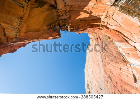 looking up at the back wall of the upper emerald pools at Zion National Park. With hanging gardens and various foliage.