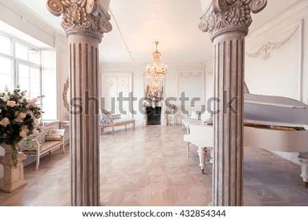 Luxury light interior of sitting room with old stylish vintage furniture.
