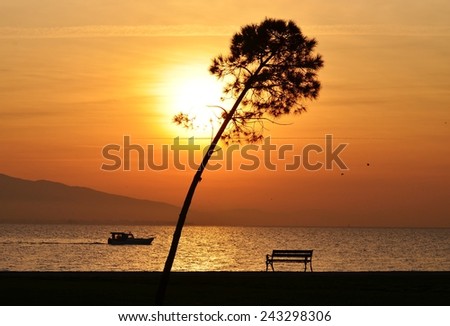 Sunset, Sunlight, Sunset Sky, Sunset Sea, Sunset Tree, Sunset Bird, Bench, Sunset Bench, Boat, Sunset Boat
