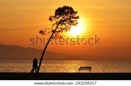 Sunset, Sunlight, Sunset Sky, Sunset Sea, Sunset Tree, Sunset Bird, Sunset People, People Walking Sunset, Bench, Sunset Bench