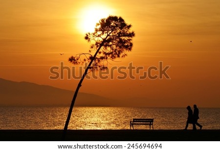 Sunset on sea and tree, people walking under sunset