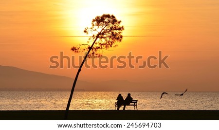 Sunset on sea and tree, people sitting on a bench under sunset, young couple sitting on a bench under sunset