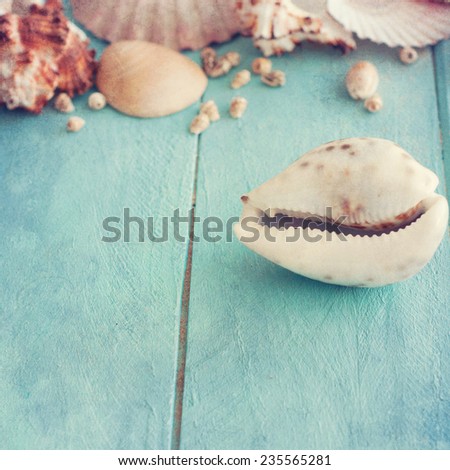 Concept of the summer time with fish star and sea shells on the wooden blue background