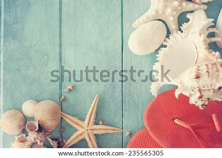 Concept of the summer time with sea shells on the wooden blue background