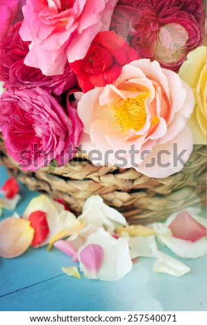 Assorted roses