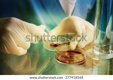 Petri dishe on laboratory table