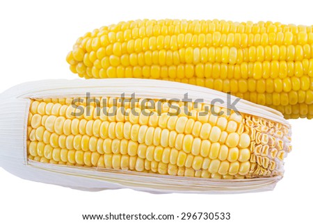 close up of sweet corn and ear of corn isolated on white background, selective focus (detailed close-up shot)
