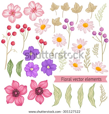 Set of flowers and leaves. Colorful floral collection with leaves and flowers. Summer design for invitation, wedding or greeting cards