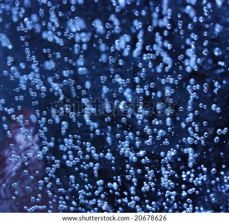 Water bubbles on a dark blue background