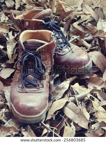 Vintage leather shoes in autumn forest, still life