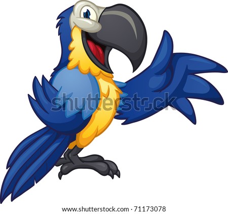 Macaw Cartoon
